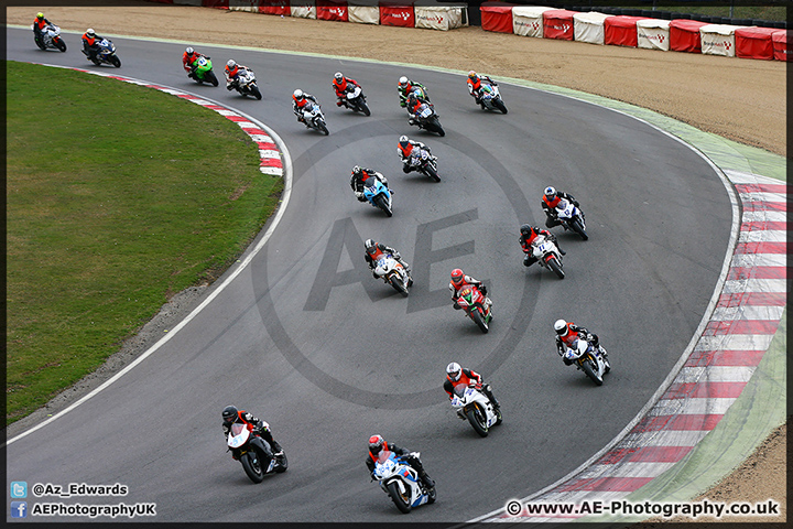 BMCRC_Brands_Hatch_28-03-15_AE_160.jpg