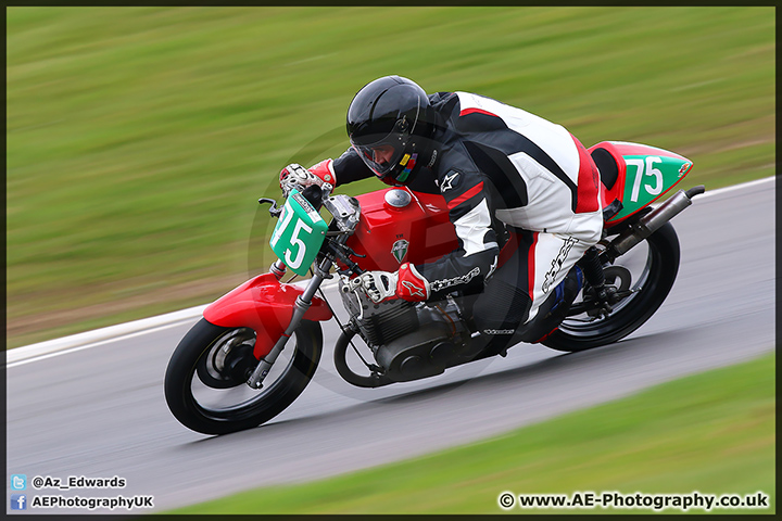 BMCRC_Brands_Hatch_28-03-15_AE_273.jpg