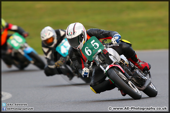 BMCRC_Brands_Hatch_28-03-15_AE_451.jpg