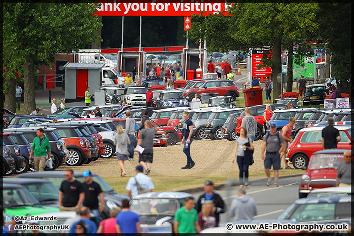 Mini_Festival_Brands_Hatch_28-06-15_AE_001.jpg