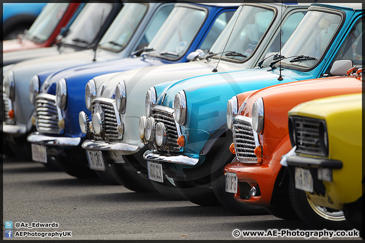 Mini_Festival_Brands_Hatch_28-06-15_AE_002.jpg