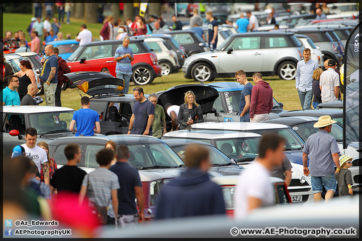 Mini_Festival_Brands_Hatch_28-06-15_AE_003.jpg