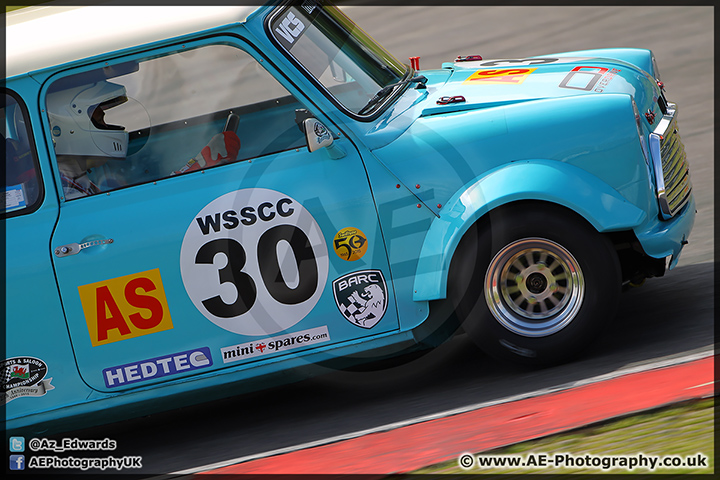 Mini_Festival_Brands_Hatch_28-06-15_AE_006.jpg