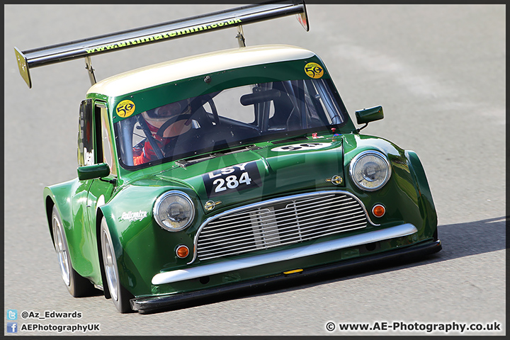 Mini_Festival_Brands_Hatch_28-06-15_AE_007.jpg