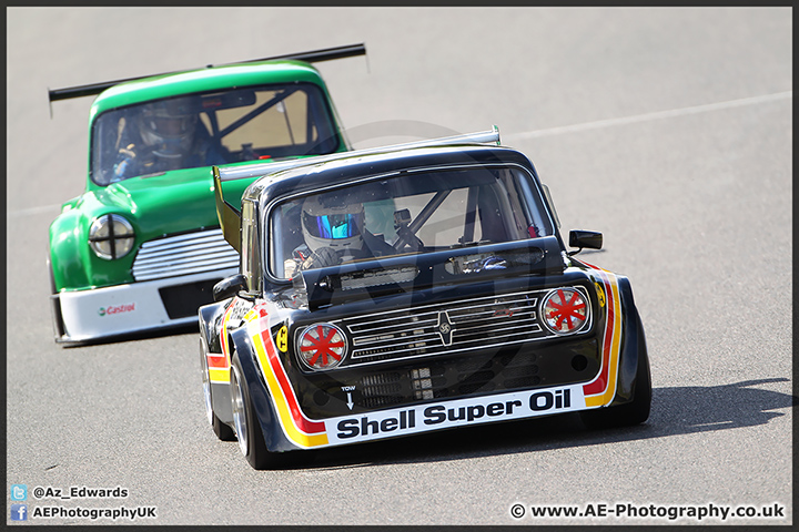 Mini_Festival_Brands_Hatch_28-06-15_AE_010.jpg