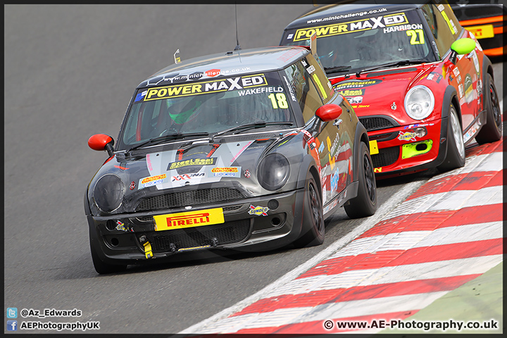 Mini_Festival_Brands_Hatch_28-06-15_AE_018.jpg