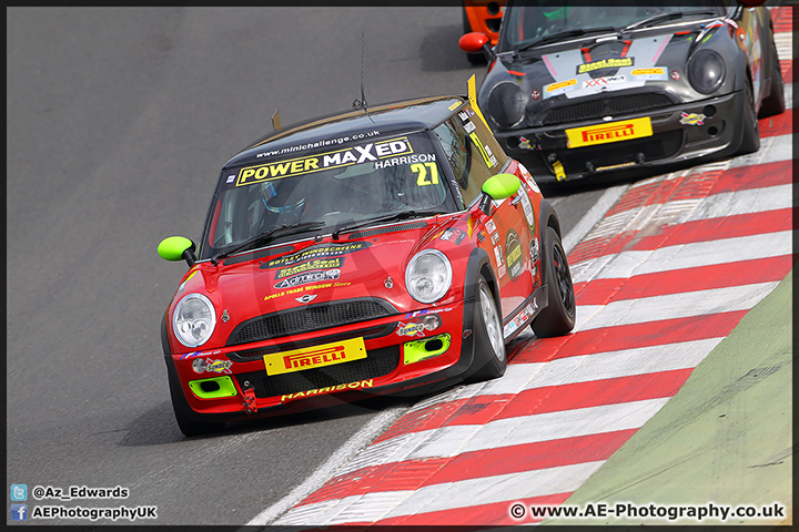 Mini_Festival_Brands_Hatch_28-06-15_AE_019.jpg