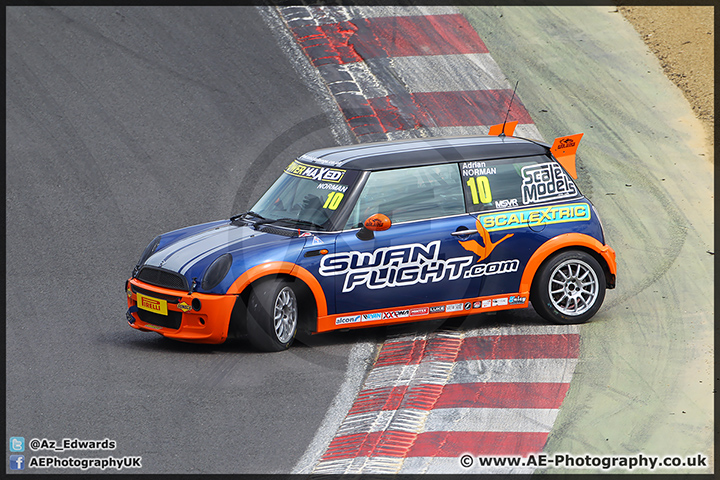 Mini_Festival_Brands_Hatch_28-06-15_AE_021.jpg