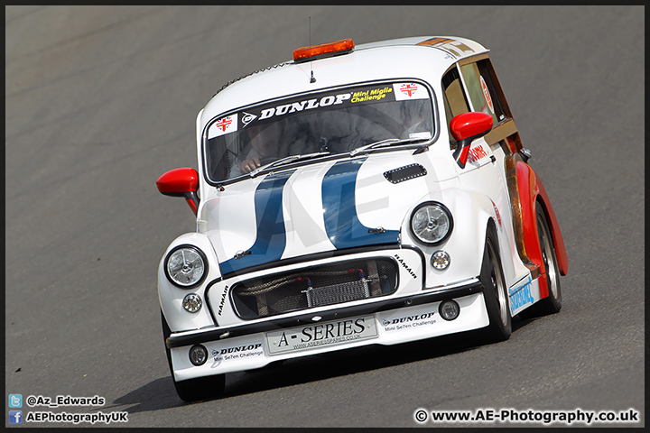 Mini_Festival_Brands_Hatch_28-06-15_AE_024.jpg