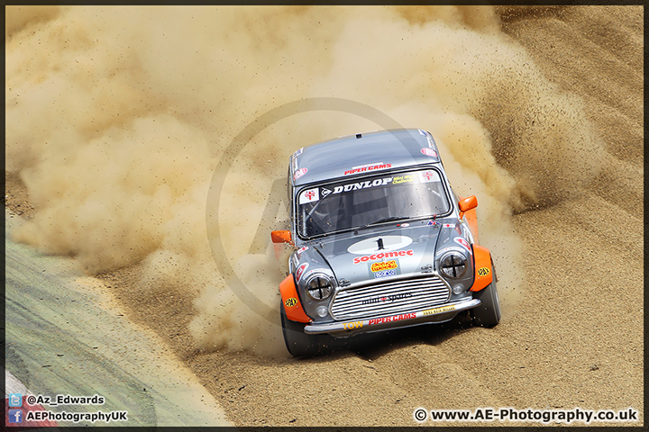 Mini_Festival_Brands_Hatch_28-06-15_AE_027.jpg