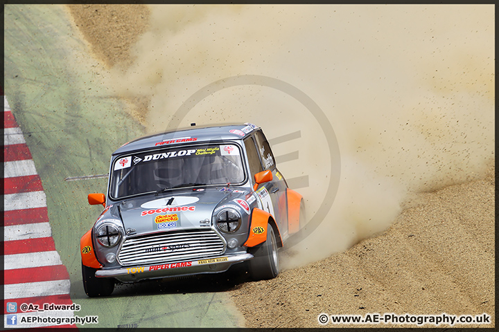 Mini_Festival_Brands_Hatch_28-06-15_AE_029.jpg