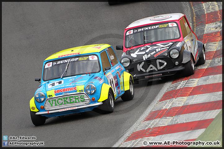 Mini_Festival_Brands_Hatch_28-06-15_AE_030.jpg