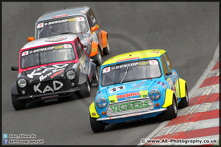 Mini_Festival_Brands_Hatch_28-06-15_AE_031.jpg