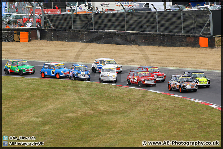 Mini_Festival_Brands_Hatch_28-06-15_AE_033.jpg