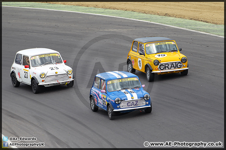 Mini_Festival_Brands_Hatch_28-06-15_AE_038.jpg