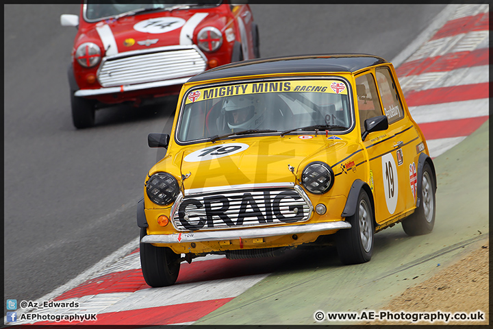 Mini_Festival_Brands_Hatch_28-06-15_AE_039.jpg