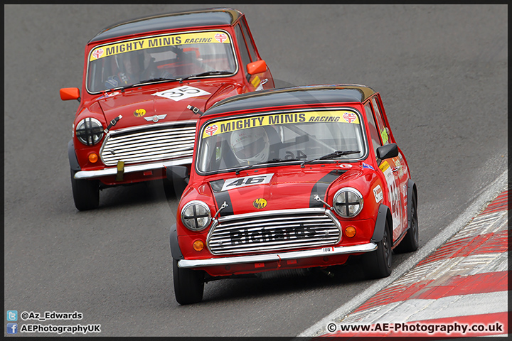 Mini_Festival_Brands_Hatch_28-06-15_AE_041.jpg