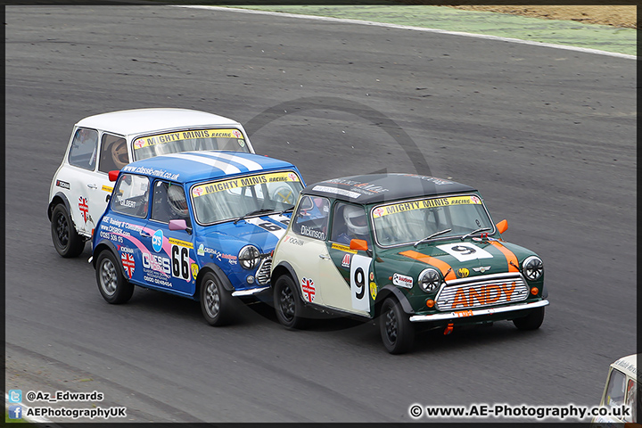 Mini_Festival_Brands_Hatch_28-06-15_AE_042.jpg