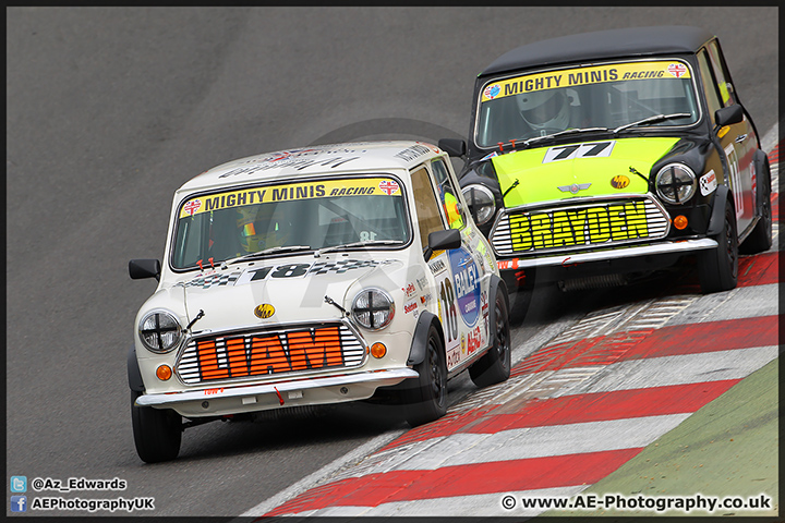 Mini_Festival_Brands_Hatch_28-06-15_AE_045.jpg