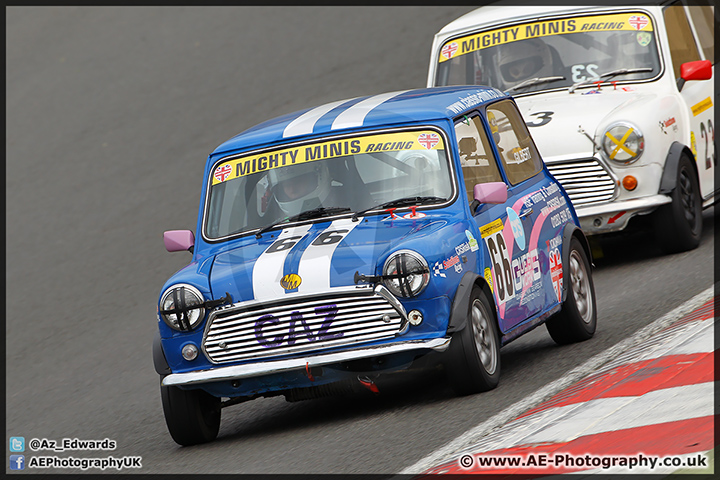 Mini_Festival_Brands_Hatch_28-06-15_AE_046.jpg