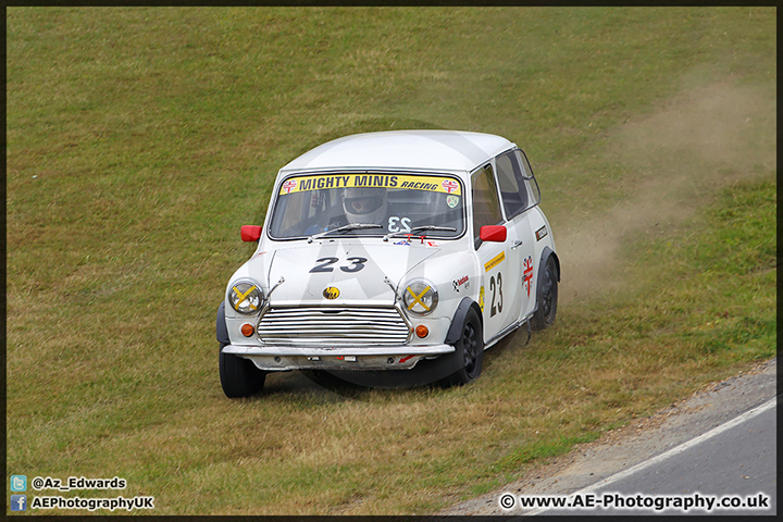 Mini_Festival_Brands_Hatch_28-06-15_AE_051.jpg