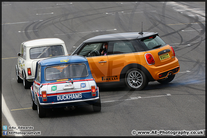 Mini_Festival_Brands_Hatch_28-06-15_AE_057.jpg