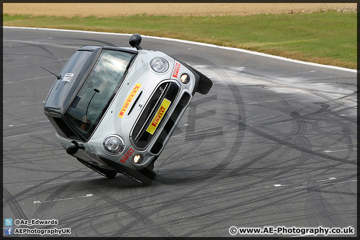 Mini_Festival_Brands_Hatch_28-06-15_AE_059.jpg