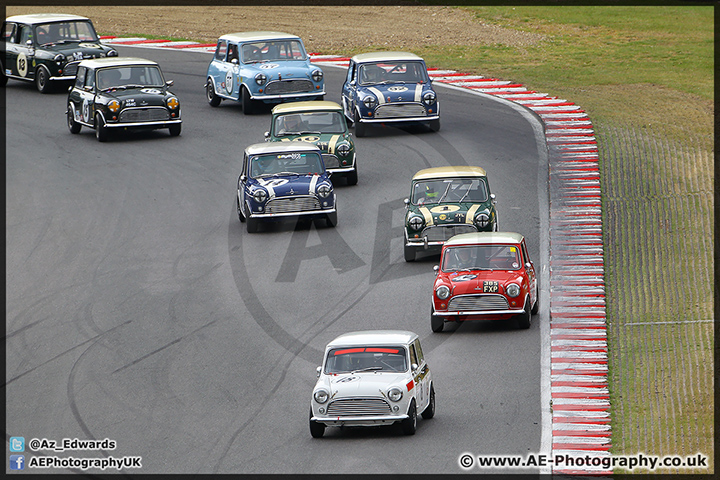 Mini_Festival_Brands_Hatch_28-06-15_AE_067.jpg