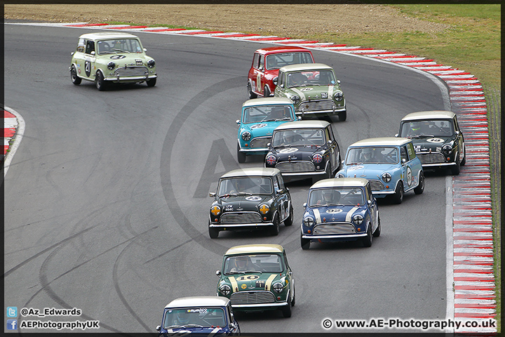 Mini_Festival_Brands_Hatch_28-06-15_AE_068.jpg