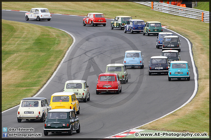 Mini_Festival_Brands_Hatch_28-06-15_AE_069.jpg