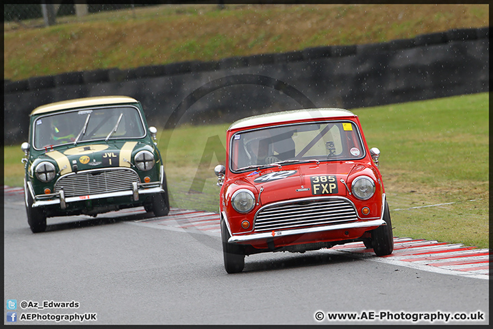 Mini_Festival_Brands_Hatch_28-06-15_AE_076.jpg