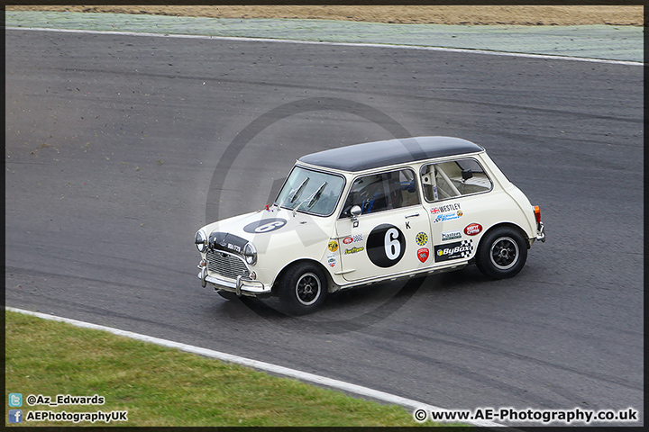 Mini_Festival_Brands_Hatch_28-06-15_AE_085.jpg