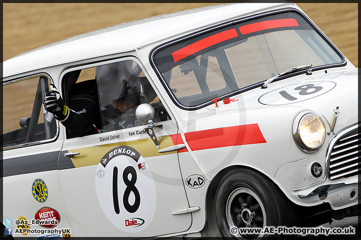 Mini_Festival_Brands_Hatch_28-06-15_AE_092.jpg