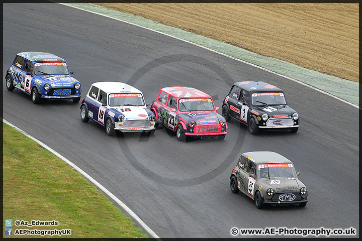 Mini_Festival_Brands_Hatch_28-06-15_AE_093.jpg