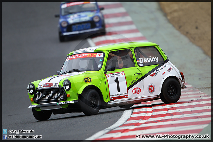 Mini_Festival_Brands_Hatch_28-06-15_AE_100.jpg