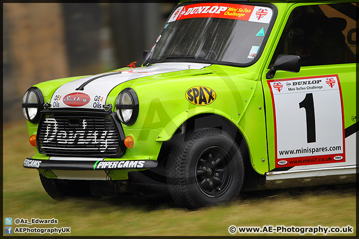 Mini_Festival_Brands_Hatch_28-06-15_AE_101.jpg