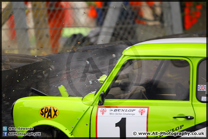 Mini_Festival_Brands_Hatch_28-06-15_AE_105.jpg