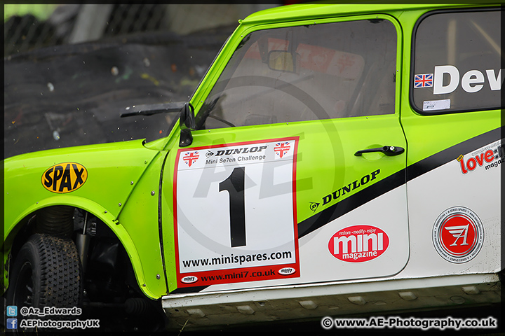 Mini_Festival_Brands_Hatch_28-06-15_AE_106.jpg