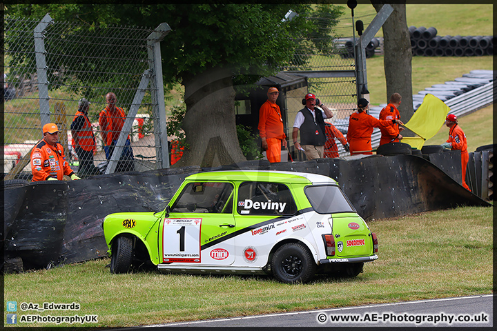 Mini_Festival_Brands_Hatch_28-06-15_AE_107.jpg