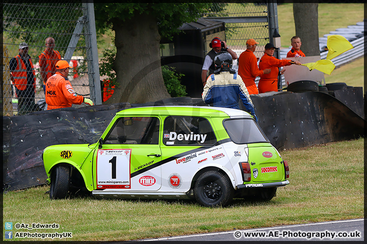 Mini_Festival_Brands_Hatch_28-06-15_AE_108.jpg