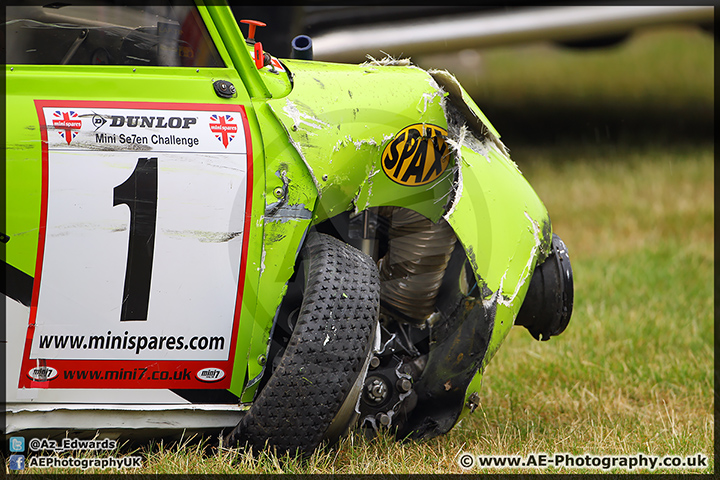 Mini_Festival_Brands_Hatch_28-06-15_AE_109.jpg