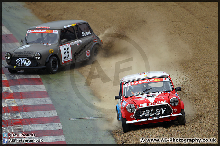 Mini_Festival_Brands_Hatch_28-06-15_AE_111.jpg