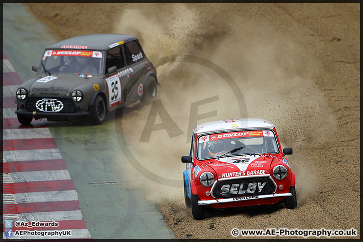 Mini_Festival_Brands_Hatch_28-06-15_AE_112.jpg