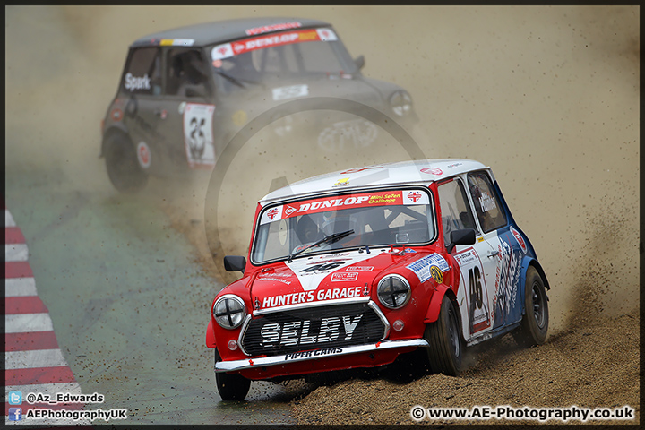 Mini_Festival_Brands_Hatch_28-06-15_AE_113.jpg