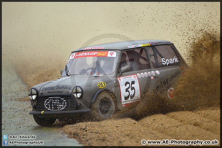 Mini_Festival_Brands_Hatch_28-06-15_AE_115.jpg