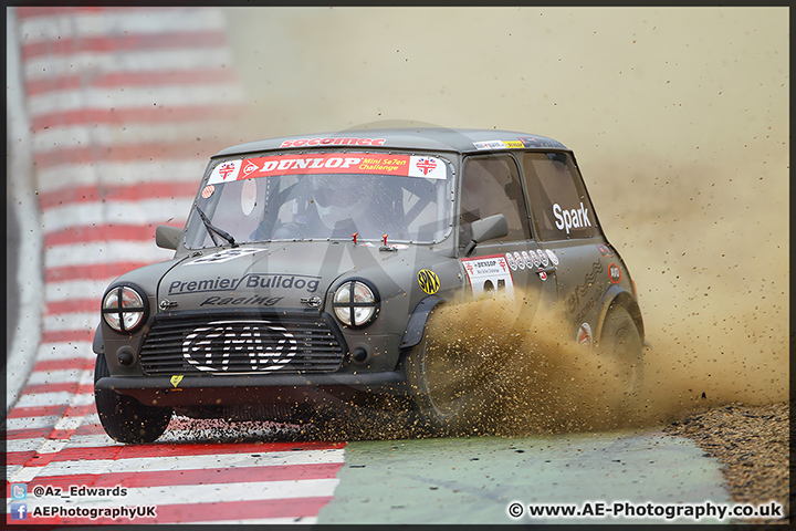 Mini_Festival_Brands_Hatch_28-06-15_AE_116.jpg