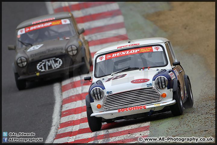 Mini_Festival_Brands_Hatch_28-06-15_AE_119.jpg