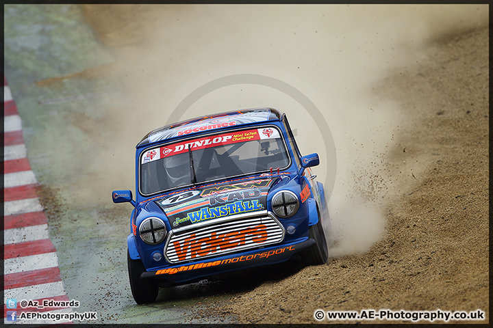 Mini_Festival_Brands_Hatch_28-06-15_AE_121.jpg