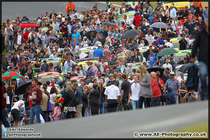 Mini_Festival_Brands_Hatch_28-06-15_AE_125.jpg