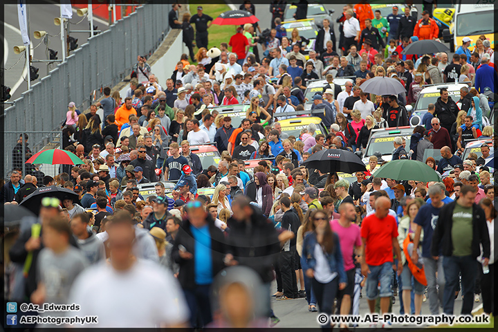 Mini_Festival_Brands_Hatch_28-06-15_AE_126.jpg